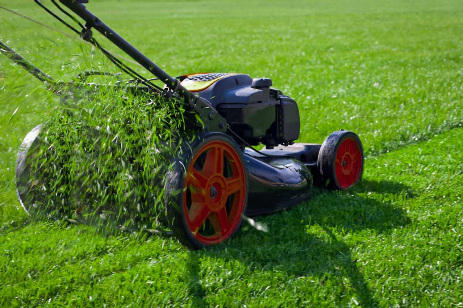 lawn care mn